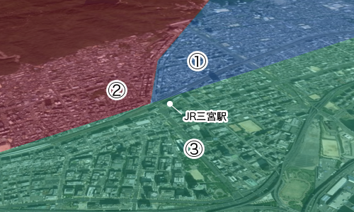 ノラ猫・徘徊猫数ノラ猫・徘徊猫の手術浸透率調査